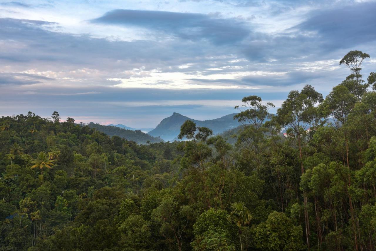 Hotel White House, Munnar Kültér fotó